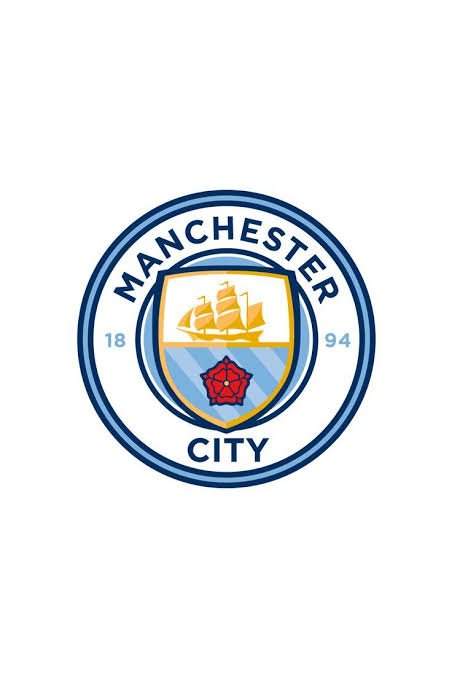 Manchester City colpevole