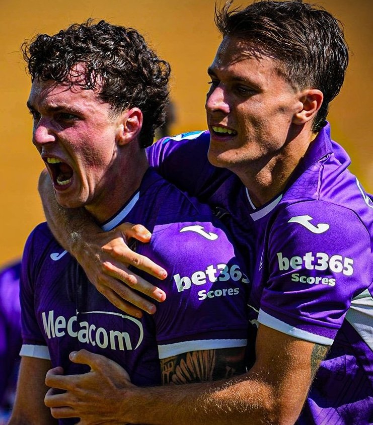 La Fiorentina stoppa il Napoli